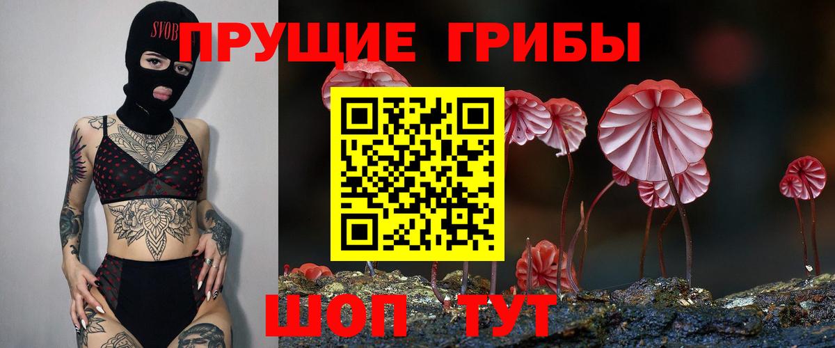 Галлюциногенные грибы MAGIC MUSHROOMS Тихорецк